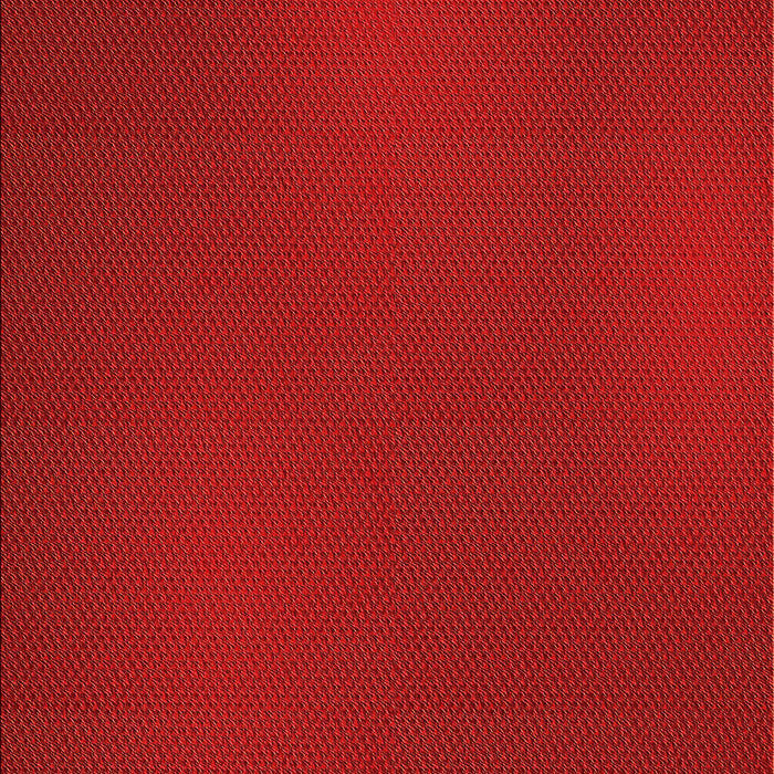 Machine Washable Transitional Red Rug, wshpat2647org