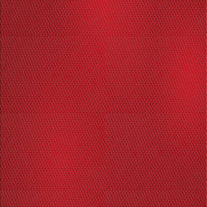 Machine Washable Transitional Red Rug, wshpat2647rd