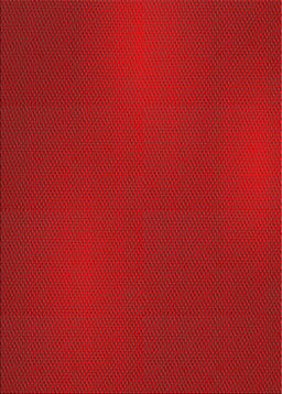 Machine Washable Transitional Fire Red Rug, wshpat2647