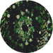 Sideview of Patterned Forest Green Novelty Rug, pat264