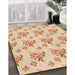 Machine Washable Transitional Orange Rug in a Family Room, wshpat2651org