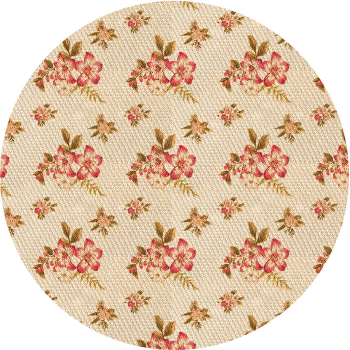 Square Machine Washable Transitional Orange Rug in a Living Room, wshpat2651org