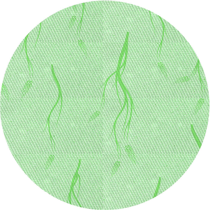 Square Machine Washable Transitional Light Green Rug in a Living Room, wshpat2654grn