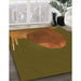 Machine Washable Transitional Dark Bronze Brown Rug in a Family Room, wshpat266org