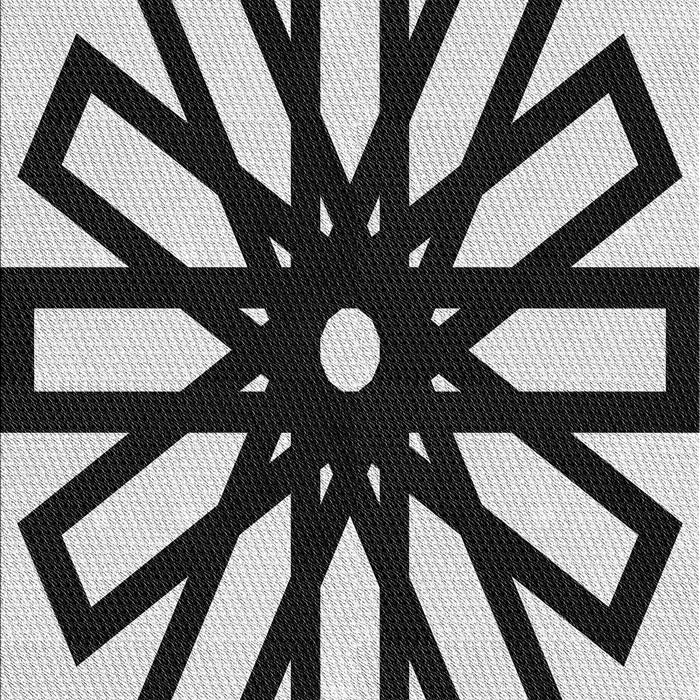 Machine Washable Transitional Charcoal Black Rug, wshpat2661