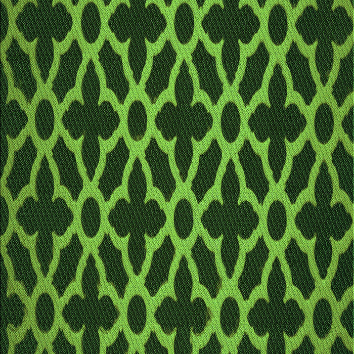 Patterned Dark Forest Green Rug, pat2666grn
