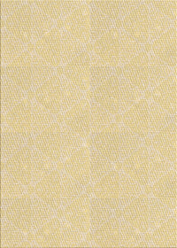 Machine Washable Transitional Sun Yellow Rug, wshpat2668brn