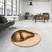 Round Patterned Mahogany Brown Rug in a Office, pat2673org