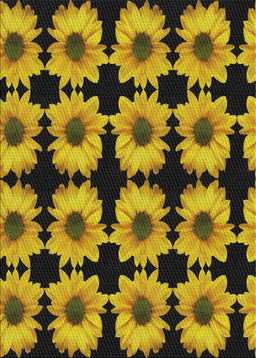 Machine Washable Transitional Milk Chocolate Brown Rug, wshpat267