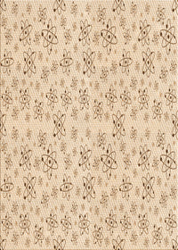 Machine Washable Transitional Peru Brown Rug, wshpat268org