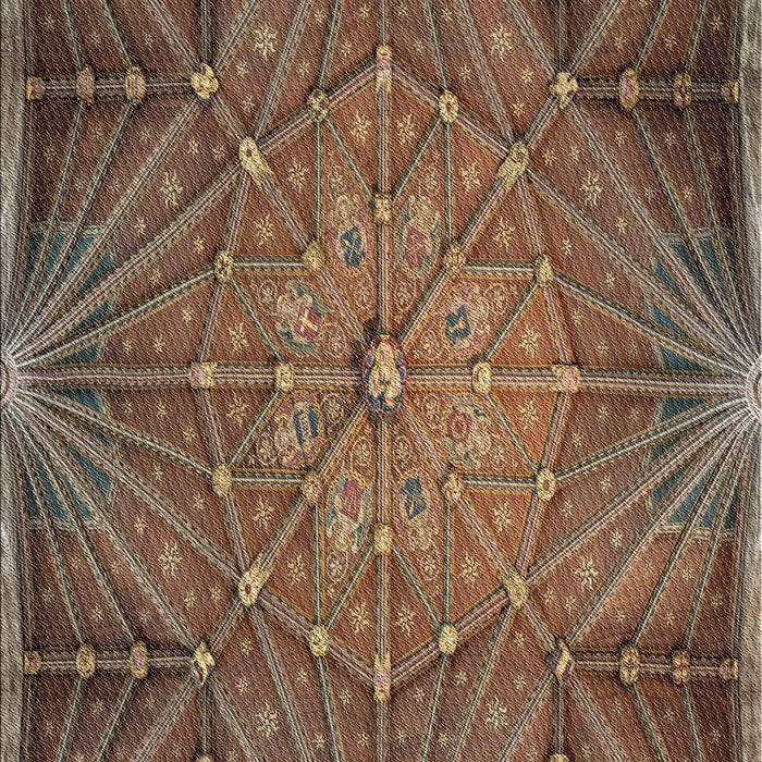 Patterned Orange Salmon Pink Novelty Rug, pat2688