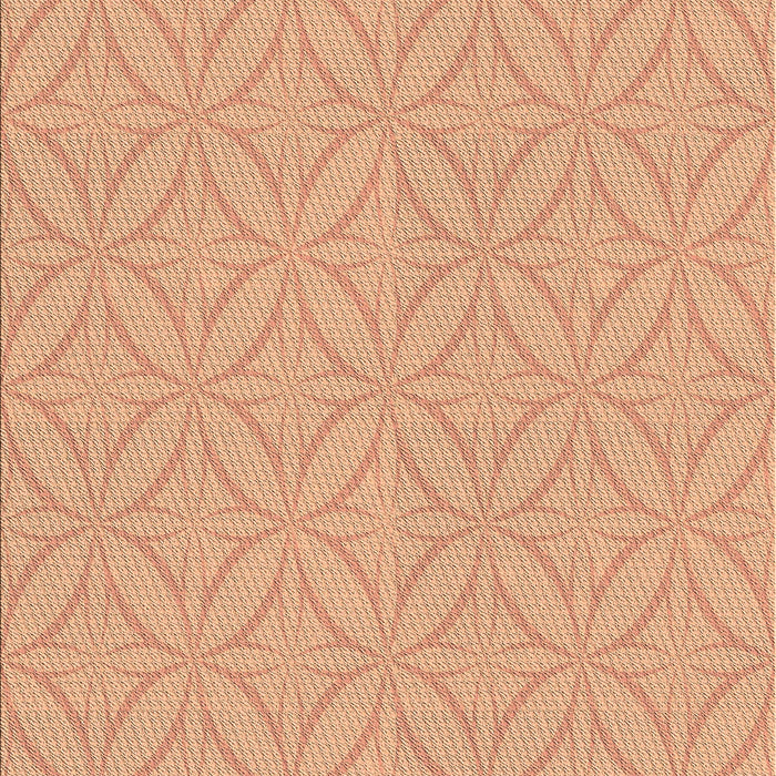 Machine Washable Transitional Orange Rug, wshpat2691brn