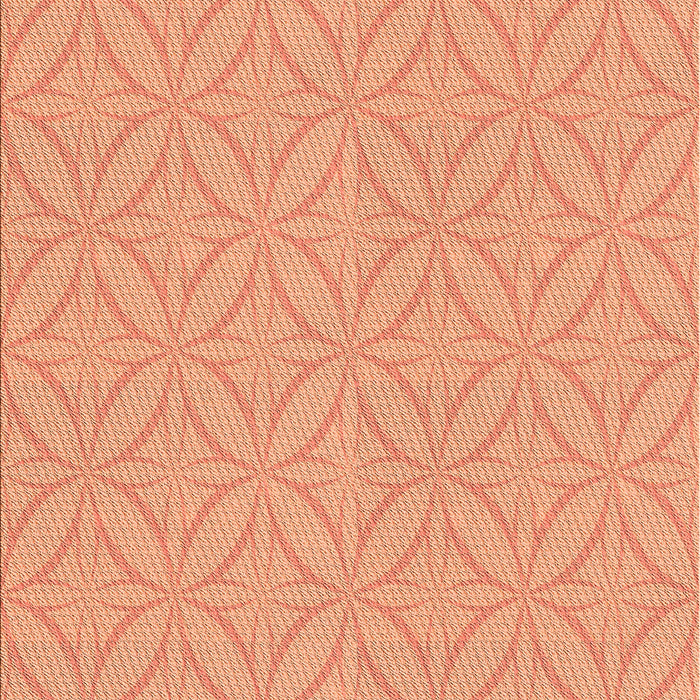 Machine Washable Transitional Bright Orange Rug, wshpat2691org