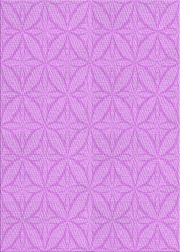 Machine Washable Transitional Violet Purple Rug, wshpat2691pur