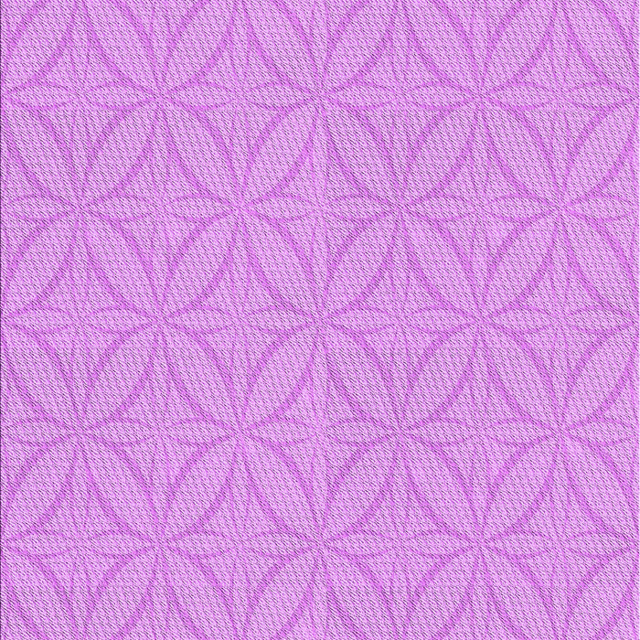 Machine Washable Transitional Violet Purple Rug, wshpat2691pur