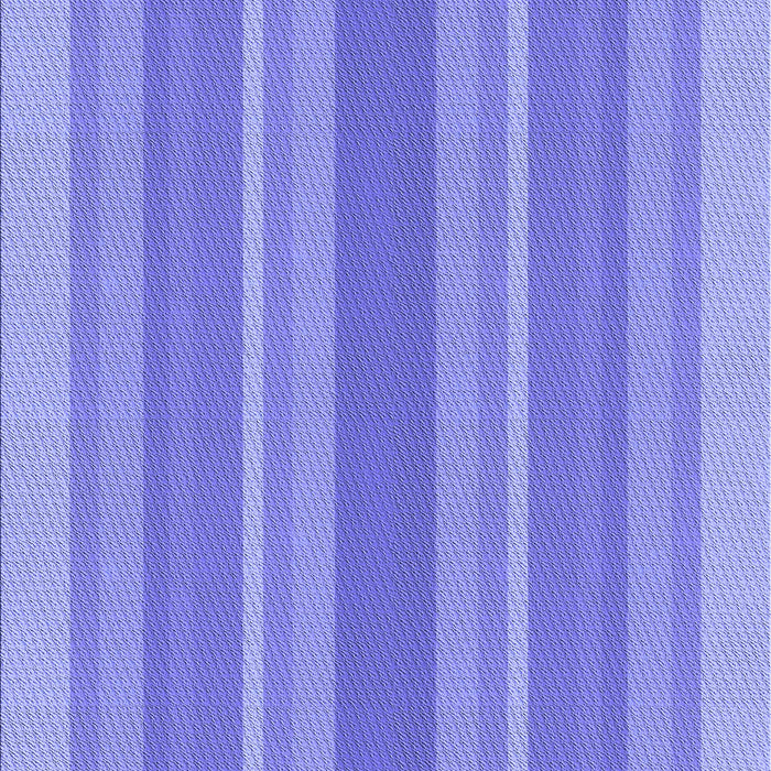 Machine Washable Transitional Purple Mimosa Purple Rug, wshpat2698blu