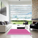 Square Patterned Deep Pink Novelty Rug in a Living Room, pat2698