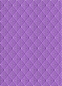 Machine Washable Transitional Violet Purple Rug, wshpat27pur