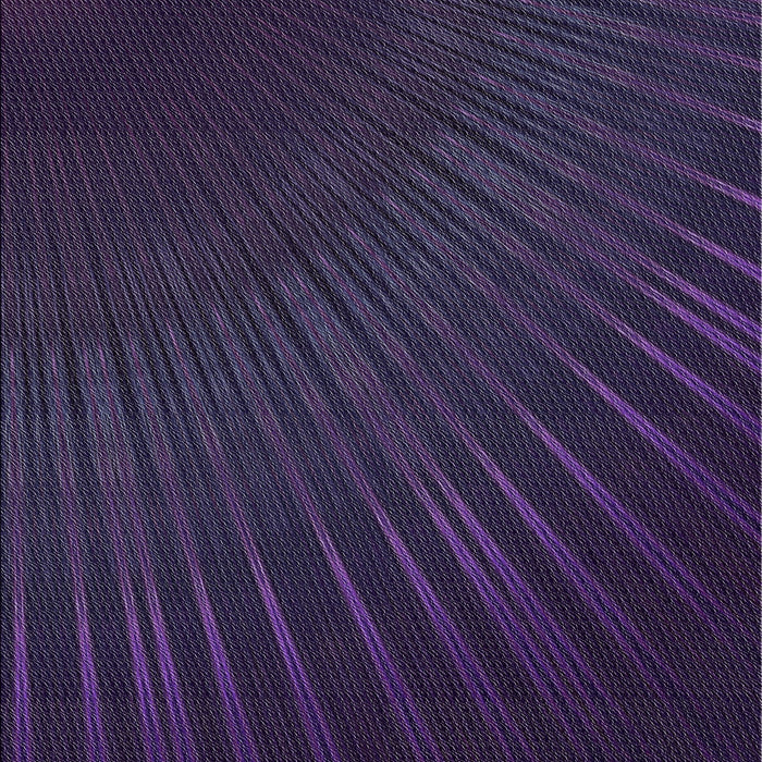 Patterned Purple Novelty Rug, pat2709