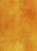 Machine Washable Transitional Neon Orange Rug, wshpat271yw