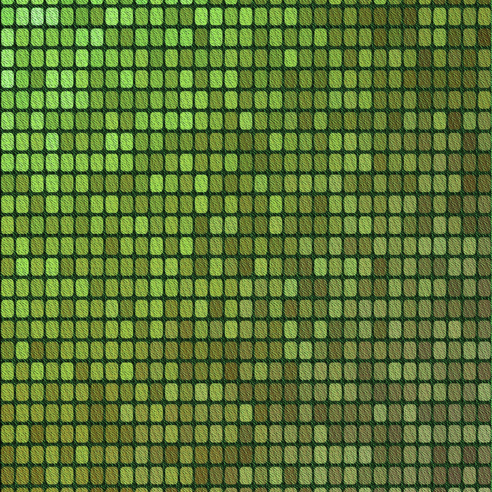 Patterned Dark Forest Green Rug, pat2715grn