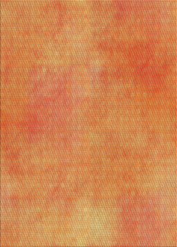 Patterned Orange Red Novelty Rug, pat271