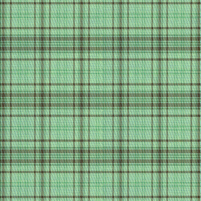 Patterned Green Rug, pat2721lblu