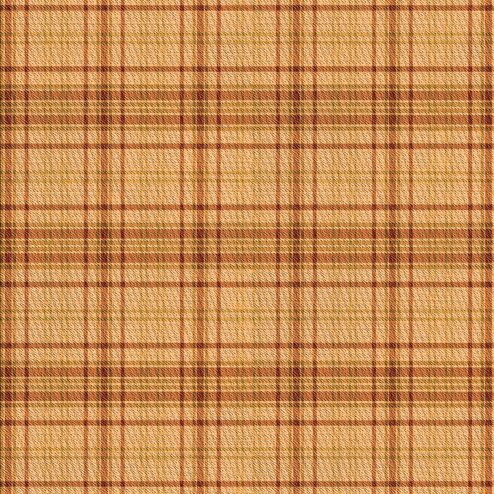 Machine Washable Transitional Orange Rug, wshpat2721org