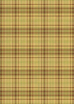 Machine Washable Transitional Bright G Yellow Rug, wshpat2721