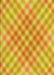 Patterned Neon Orange Rug, pat2725yw