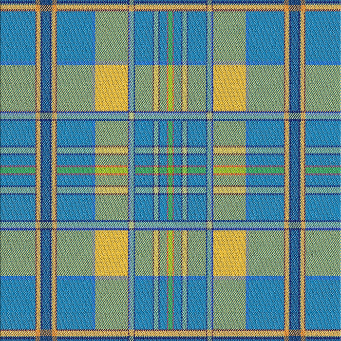 Patterned Blue Novelty Rug, pat2729