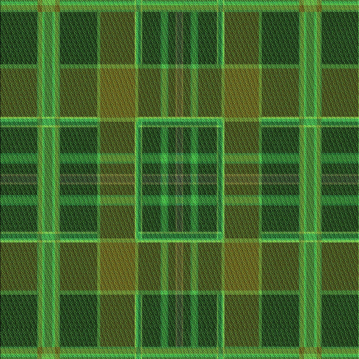 Machine Washable Transitional Dark Lime Green Rug, wshpat2730grn