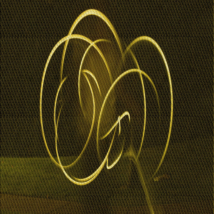 Machine Washable Transitional Black Rug, wshpat2739yw