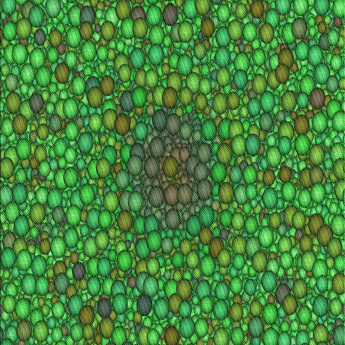 Machine Washable Transitional Neon Green Rug, wshpat2740grn