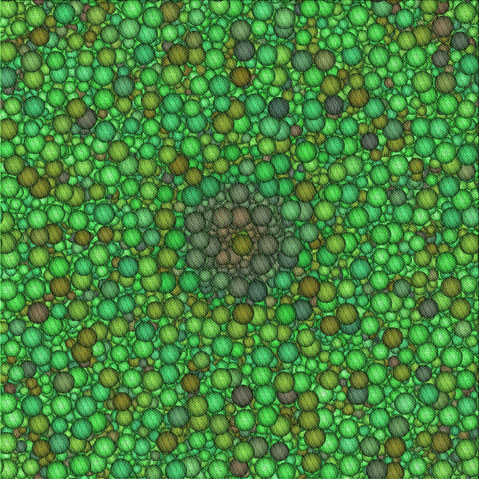 Round Machine Washable Transitional Neon Green Rug, wshpat2740grn