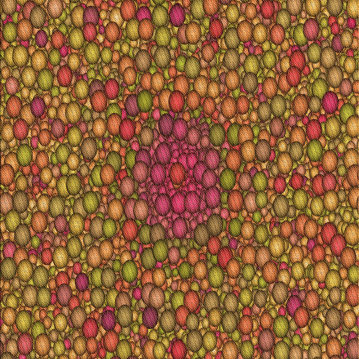 Machine Washable Transitional Tomato Red Rug, wshpat2740org