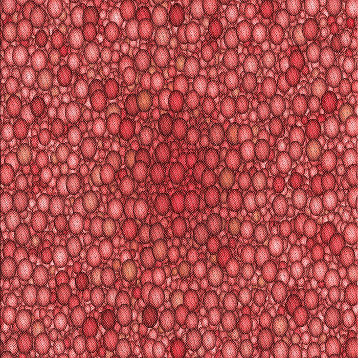 Patterned Red Rug, pat2740rd