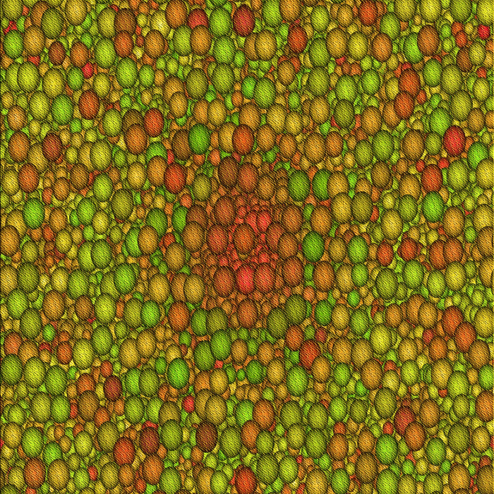 Patterned Dark Bronze Brown Rug, pat2740yw