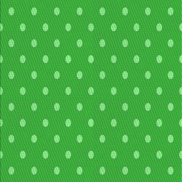 Machine Washable Transitional Lime Green Rug, wshpat2742grn