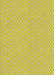 Patterned Neon Yellow Novelty Rug, pat2743