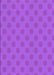 Patterned Fuchsia Magenta Purple Rug, pat2747pur