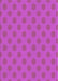 Patterned Fuchsia Magenta Purple Novelty Rug, pat2747