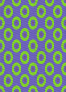 Machine Washable Transitional Fuchsia Magenta Green Rug, wshpat2748