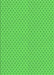 Patterned Lime Green Rug, pat2749grn