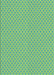 Patterned Medium Sea Green Rug, pat2749lblu