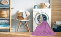 Machine Washable Transitional Violet Purple Rug in a Washing Machine, wshpat2749pur