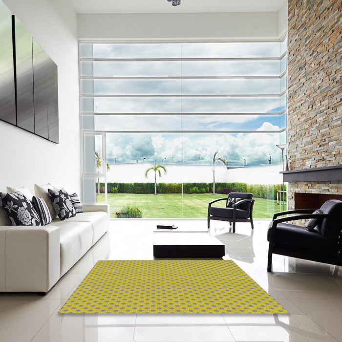 Square Patterned Brown Novelty Rug in a Living Room, pat2749