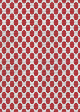 Machine Washable Transitional Red Rug, wshpat2752