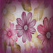 Sideview of Machine Washable Transitional Pink Daisy Pink Rug, wshpat2755