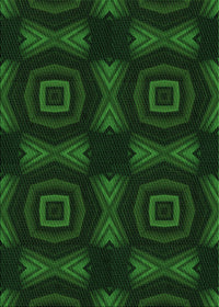 Machine Washable Transitional Green Rug, wshpat276grn